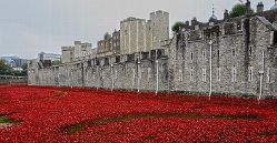 Tower of London poppies small  - photo credits Yuval Weitzen.jpg